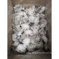 Frozen Octopus Short Leg 60-80g